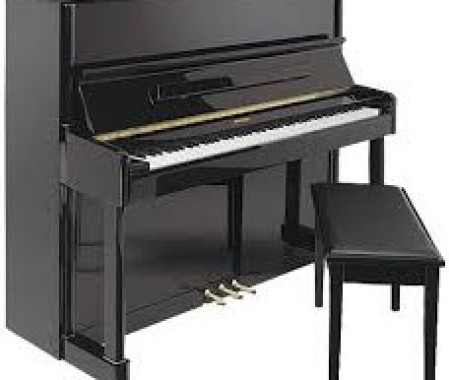 Kuyruklu Piyano Taşıma